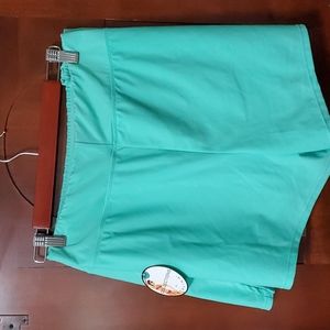 3X Catalina TEAL lined Swim shorts